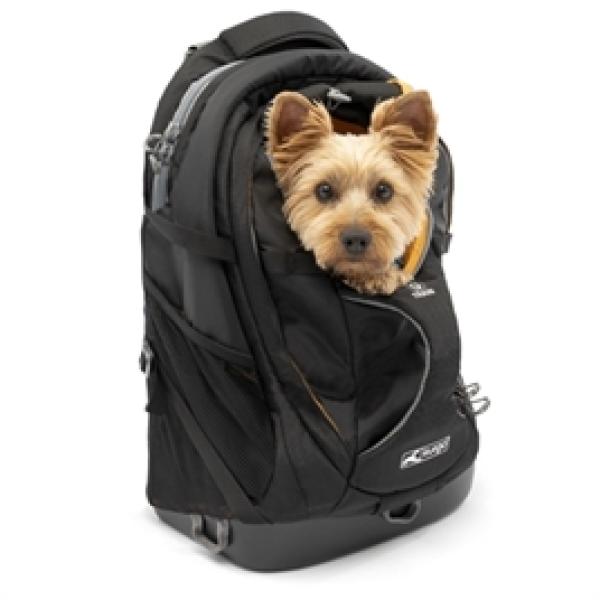Rucksack G - Train Schwarz Kurgo